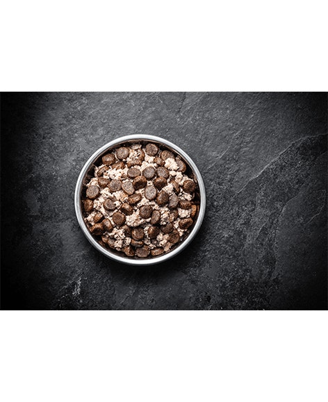 Dog Wet Lamb Beef Mixed Feeding Image