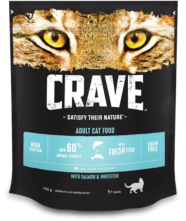 Cat dry fish image