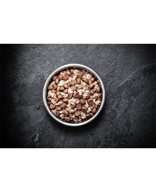 Dog Wet Chicken Turkey Mixed Feeding Image