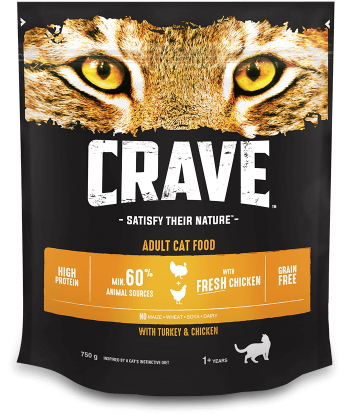 image Cat-dry-chicken