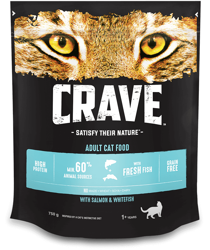 image Cat-dry-fish%20%281%29