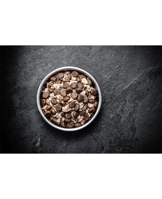 Dog Wet Lamb Beef Mixed Feeding Image