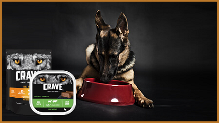 Dog meal 2 updated